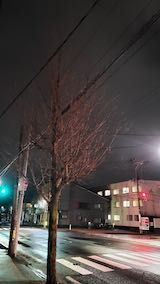 20250317_212536外の様子夜のはめ頃1” hspace=