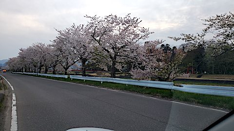 20250422_181413Ťʵܺ2 hspace=