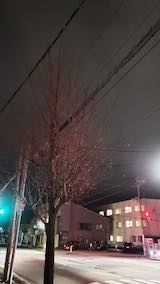 20250319_214359外の様子夜のはじめ頃1” hspace=