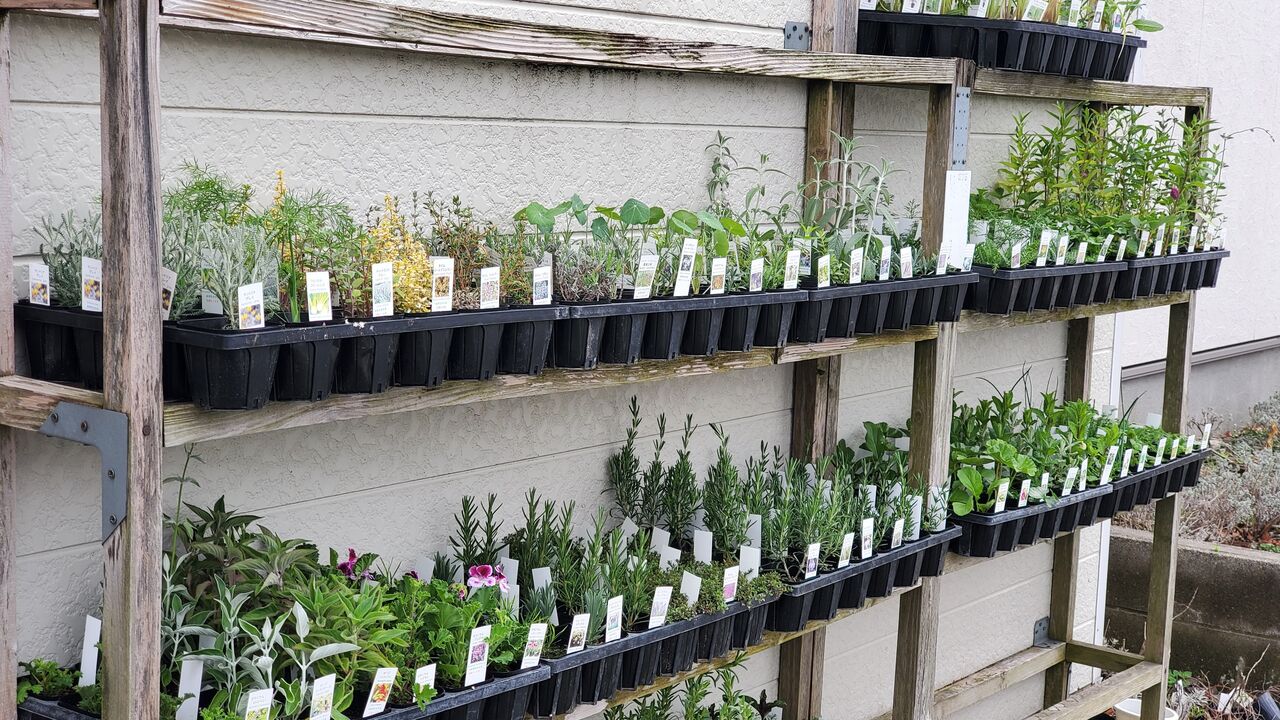 20250411_130708ϡġ hspace=