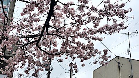 20250420_162244κ6 hspace=