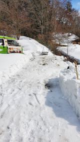 20250307_101942_���ظ���ƻ�������2