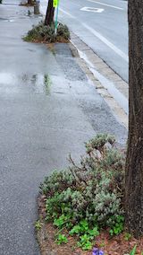 20250414_074316ͻƻΥ٥ hspace=