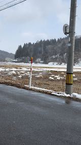 20250307_130327_������ε���ƻ��Ļ