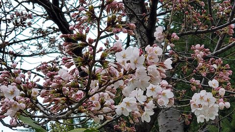 20250415_162925ͻҺ3 hspace=