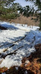 20250307_124812_�����å��ڥȥ�æ��1