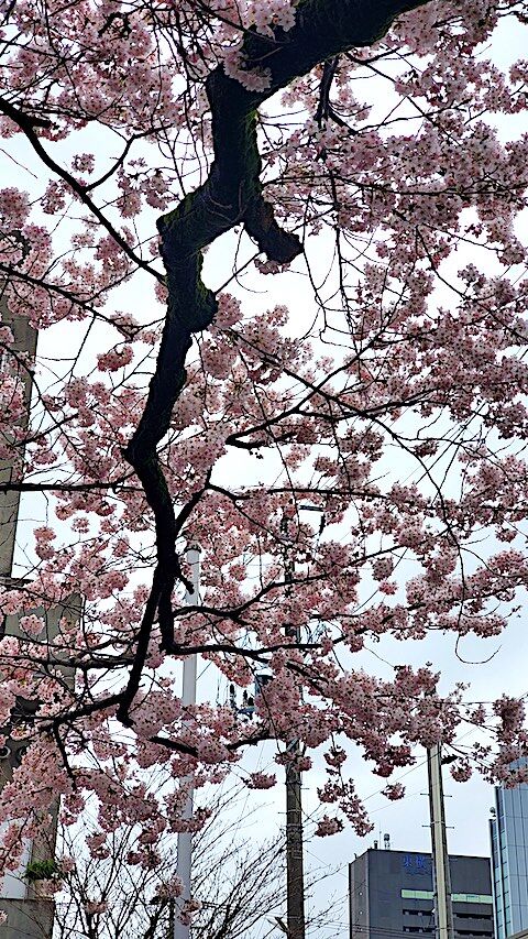 20250420_162306κ7 hspace=