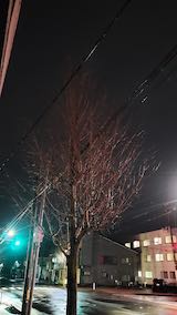 20250316_212401ͻΤϤẢ1 hspace=