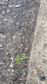 20250314_155924ͻ᤮ hspace=