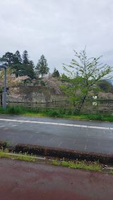 20250423_120408会津鶴ヶ城3” hspace=