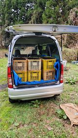 20250415_105631肥料運び3” hspace=