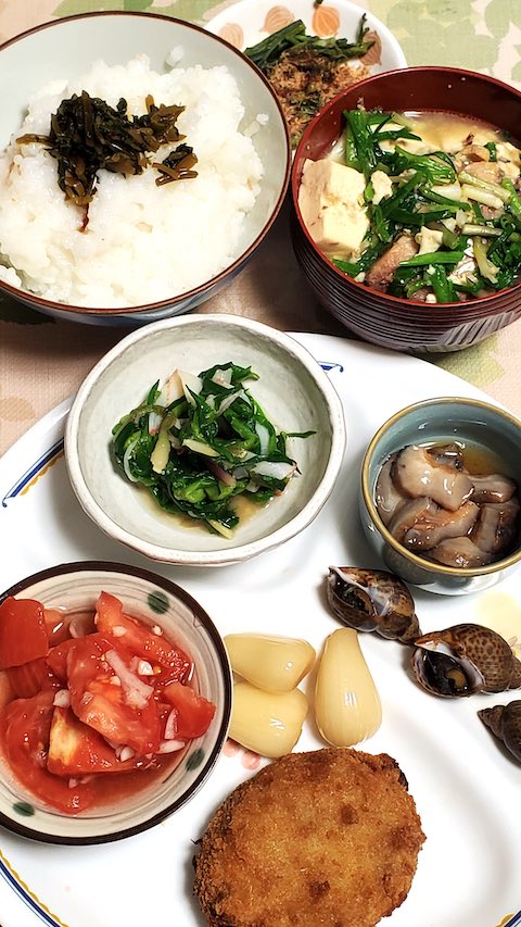 20250420_191144դӡ hspace=