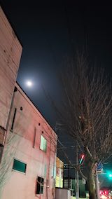 20250412_213954ͻΤϤẢ3 hspace=