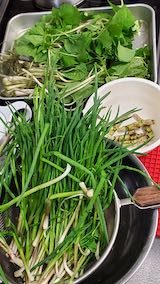 20250415_144654収穫してきた”ひろっこと山ワサビ” hspace=