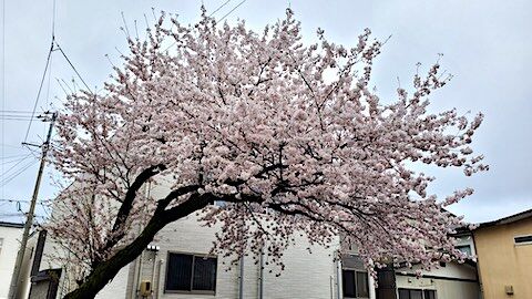 20250420_162100κ1 hspace=