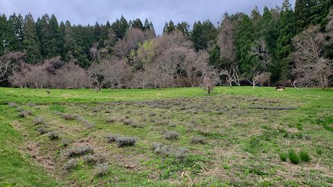 20250415_110857٥Ȫ hspace=