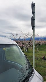 20250423_141556北会津の風景1” hspace=