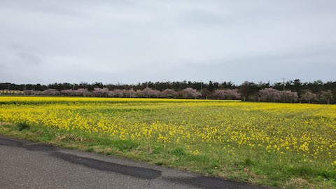 20250424_104911٥ã1 hspace=