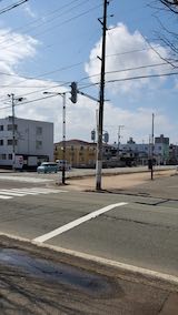 20250320_121221外の様子昼過ぎ1” hspace=