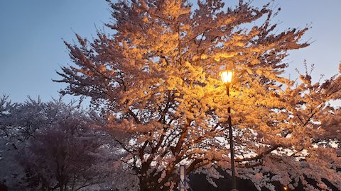 20250421_183623Ťʵܺ hspace=