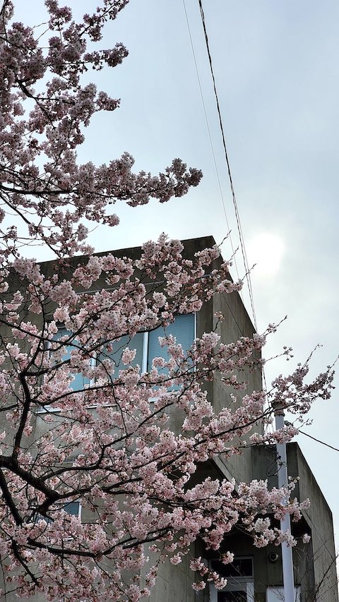 20250419_152003᤯κβ2 hspace=