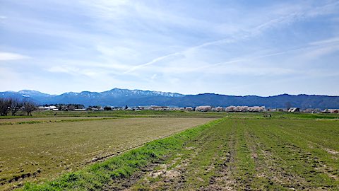 20250422_135919Ťʵܺ2 hspace=