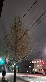 20250424_210445外の様子夜のはじめ頃1” hspace=