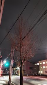 20250314_204631ͻλϤ2