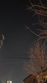 20250311_204300�����ͻ���ΤϤ��Ả1�� hspace=