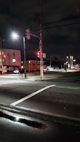 20250415_210832外の様子夜のはじめ頃2