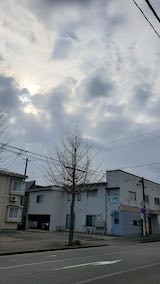 20250320_082359外の様子朝2” hspace=