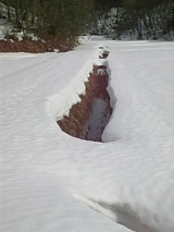 20060224山雪景色