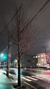 20250320_215242外の様子夜のはじめ頃1” hspace=