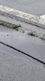 20250416_073851外の様子朝あられ” hspace=