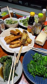 20250421_190334晩ご飯1” hspace=