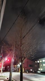 20250420_201409外の様子夜のはじめ頃1” hspace=