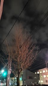 20250415_210841外の様子夜のはじめ頃1” hspace=