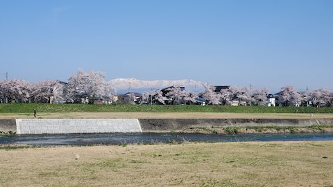 20250422_082024Ťʵܺ˭Ϣ1 hspace=