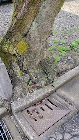 20250412_094932ڡ hspace=