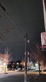 20250413_205851ͻΤϤẢ3 hspace=