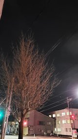 20250419_211328外の様子夜のはじめ頃1” hspace=