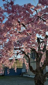 20250422_065317ȬŹȻ޿1 hspace=