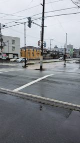 20250414_113516ͻҡ hspace=