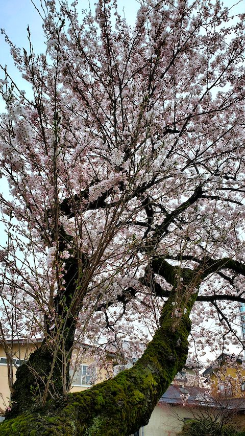 20250419_151949᤯κβ1 hspace=