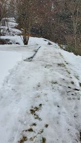 20250307_110906_���ظ���ƻ�������4