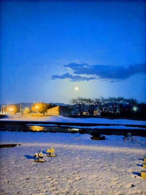 20250314_200211ΤĮ˾पޡ hspace=