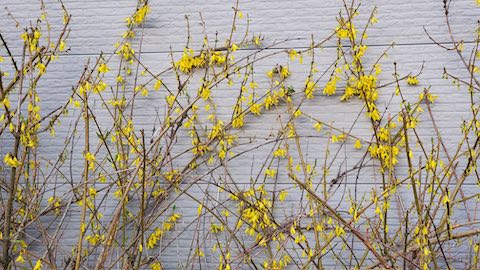 20250412_173331󥮥祦β2 hspace=