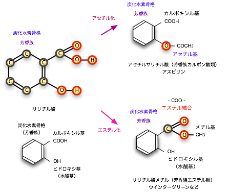 サリチル酸 メチル