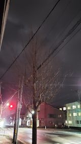 20250312_212138ͻΤϤẢ1 hspace=