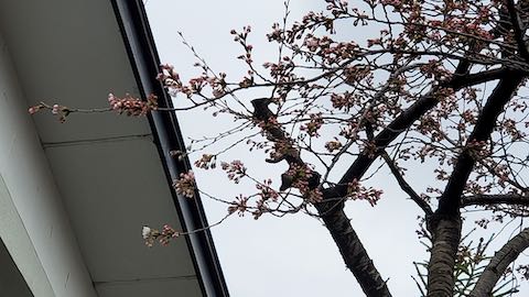 20250415_162758ͻҺ2 hspace=